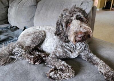 Big Rock’s Midnight Blue