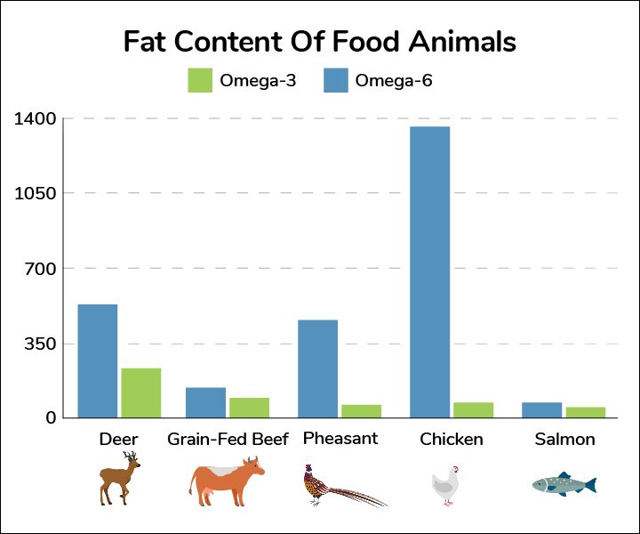 Fat Content of Food Animals - Chart