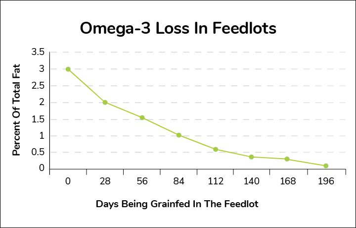 Omega3 Loss in Feedlots - Chart