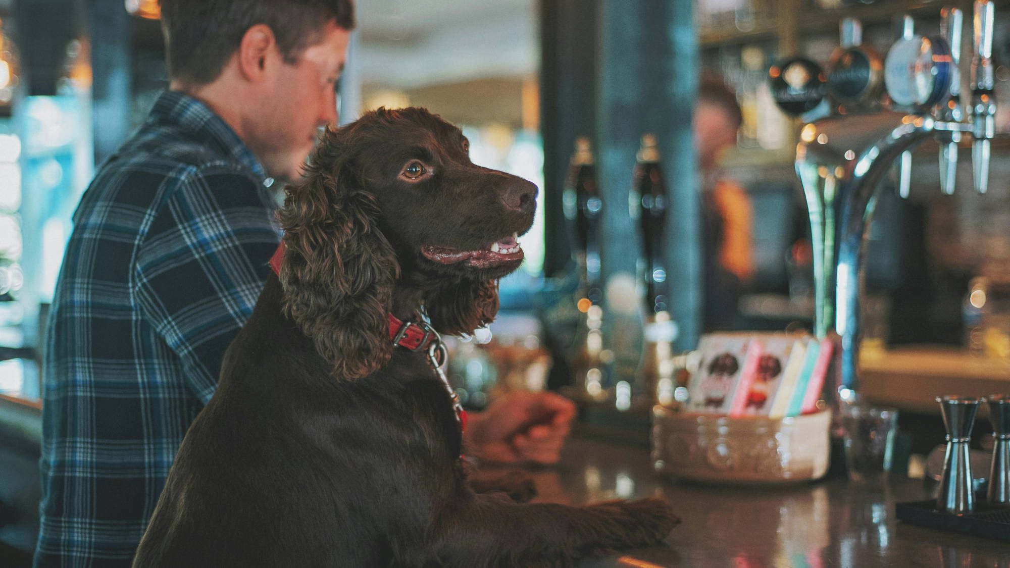 Have a Pint with Your Pal!