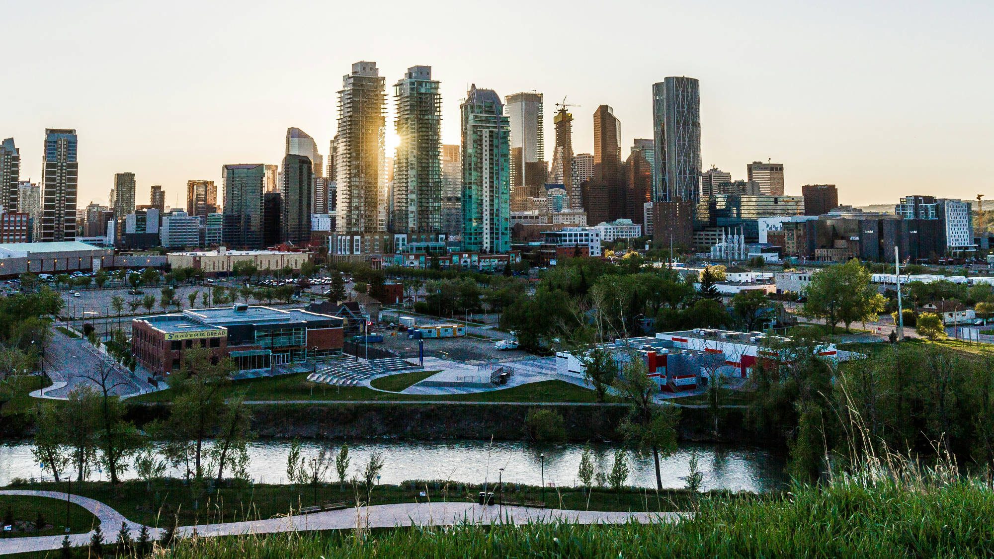 Guess Who’s the Top Dog in Calgary? Our Wonderful Woofies — That’s Who!