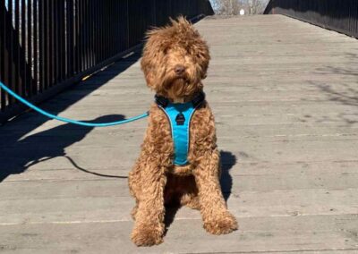 Big Rock’s Rory Gilmore