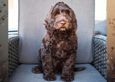 Big Rock’s Touch of Whimsy